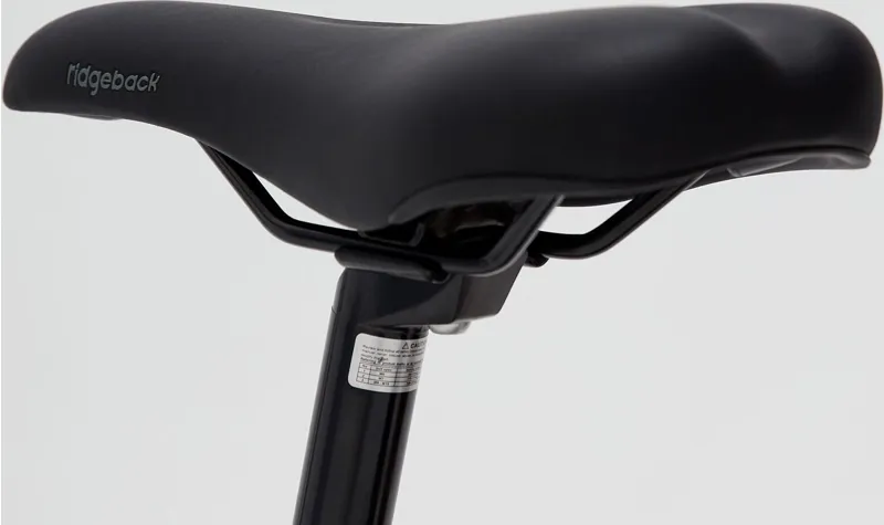 Ridgeback Destiny 24 Kids Bike in Silver-6